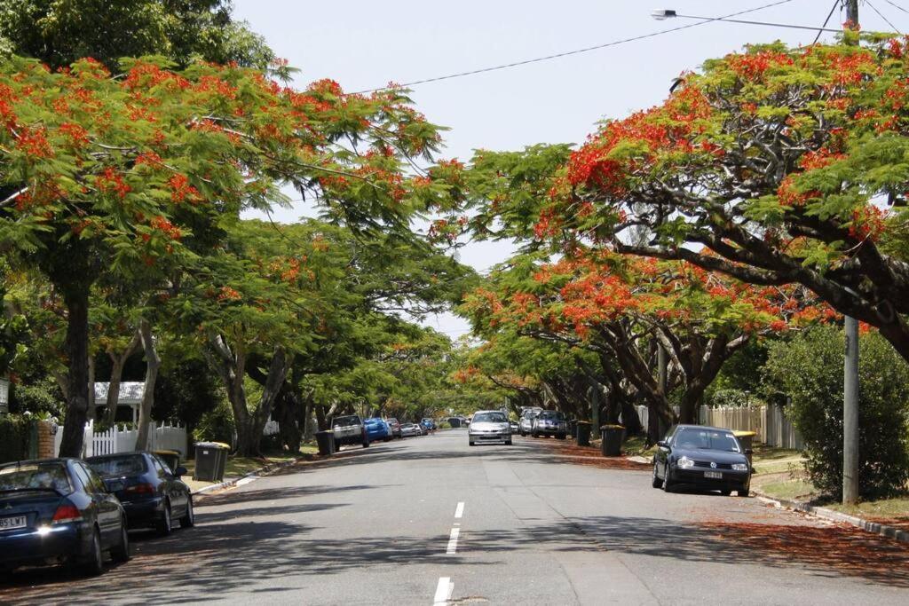 Art Deco In Ascot! ~ 2 Bed / 1 Bath / 1 Car Apartment Brisbane Luaran gambar